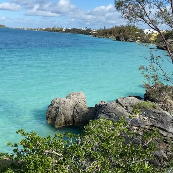 Meet your Posher, Sandra - Picture 3 of 3